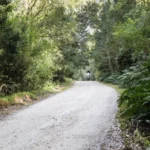 Africa-Twin-Adventures-Knysna-Forrest-1 (1)