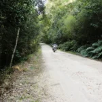 Africa-Twin-Adventures-Knysna-Forrest-2 (1)