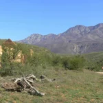 Oudtshoorn (1)