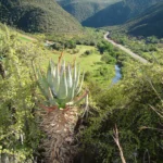 Schoemanspoort-Oudtshoorn (1)