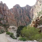 Swartberg-Pass (1)