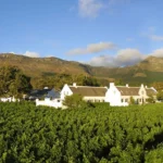 Western-Cape-Winelands