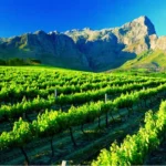 franschhoek