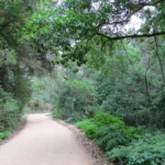 gravelroad-1 (1)