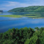 lagoonvista (1)
