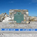 plaque
