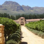 winefarm
